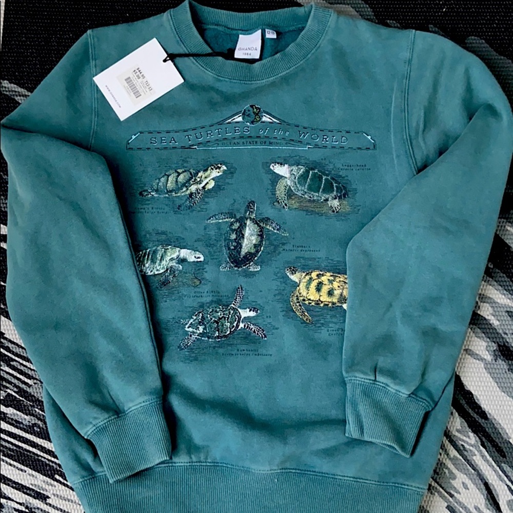 Ghanda Turtles of the World Sweatshirt